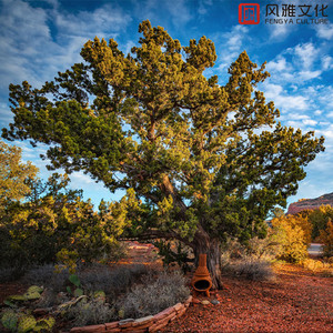 继夫咬住小娇乳h边走边欢视频
